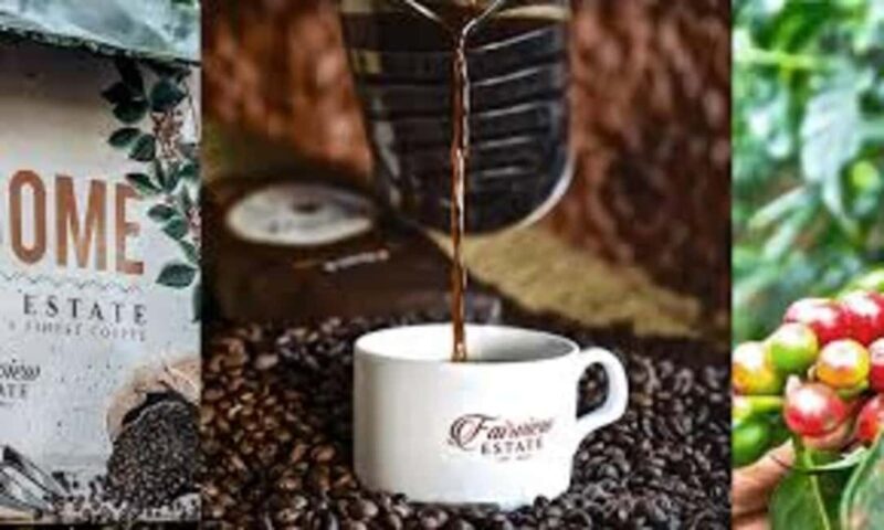 Nairobi: Fairview Coffee Estate Tour with Pickup - Why This Tour Works Well