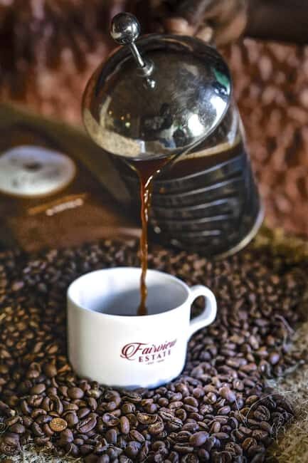 Nairobi: Fairview Coffee Estate Tour with Tasting - Introduction: What Makes the Fairview Coffee Estate Tour Special?