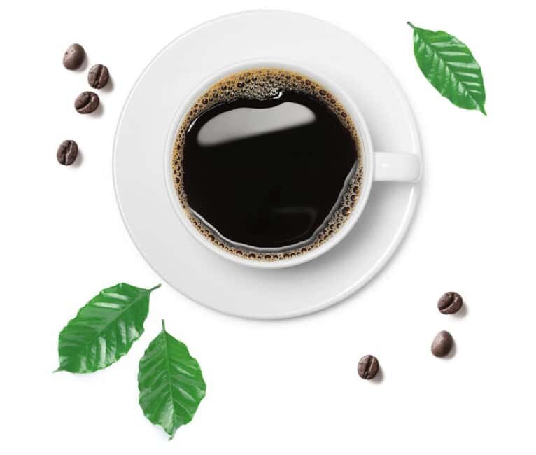 Nairobi: Fairview Coffee Estate Tour with Tasting - FAQ