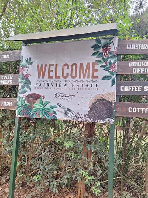 Nairobi: Fairview Coffee Farm Day Trip with Hotel Pickup - A Closer Look at the Fairview Coffee Estate Tour