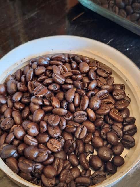 Nairobi: Fairview Coffee Farm Day Trip with Hotel Pickup - Why This Tour Is a Great Choice