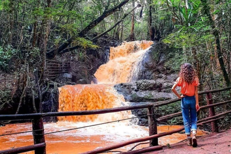 Nairobi: From Nairobi-Karura Forest Guided Walking Tour - An Intro to the Karura Forest Guided Walk