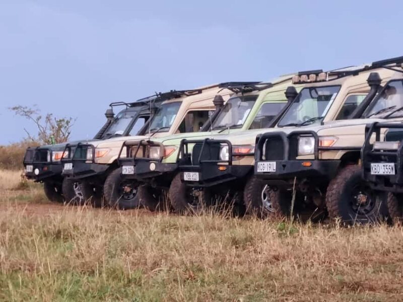 Nairobi: Game drive, elephant Orphanage & giraffe centre. - Key Points
