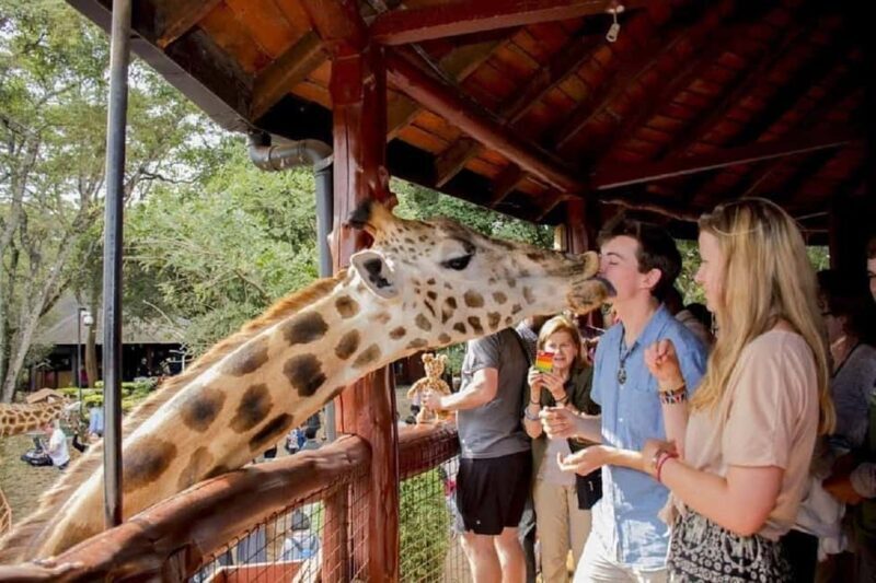 Nairobi: Giraffe Center and Nature Trail Tour - The Nature Trail and Gogo River Walk