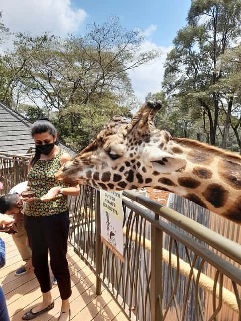 Nairobi: Giraffe Center, Beads Factory & Bomas of Kenya Tour - The Sum Up: Is It Worth It?