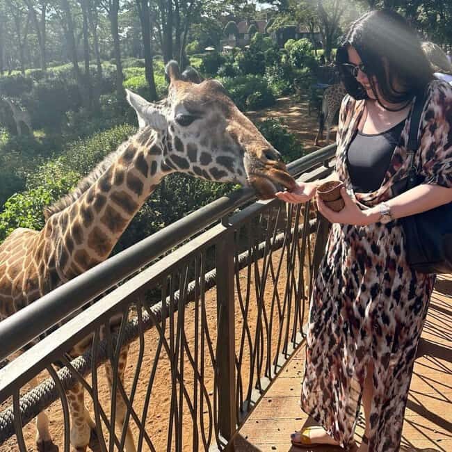 Nairobi: Giraffe Center Day Trip - Final Thoughts