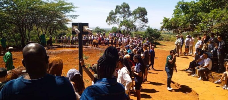 Nairobi: Giraffe Centre, Elephants, and Karen Blixen Museum - Key Points