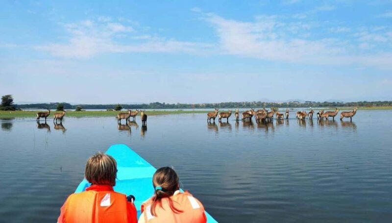 Nairobi: Group Joining Lake Nakuru & Lake Naivasha Day Trip - Pricing & Value Analysis