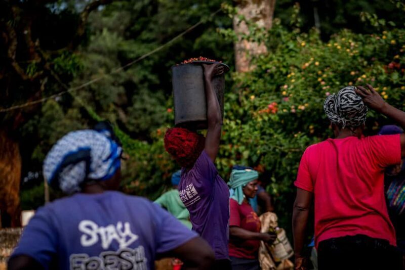 Nairobi: Guided Coffee Farm Tour with Tastings - Exploring Kenya’s Coffee Roots: Guided Coffee Farm Tour with Tastings