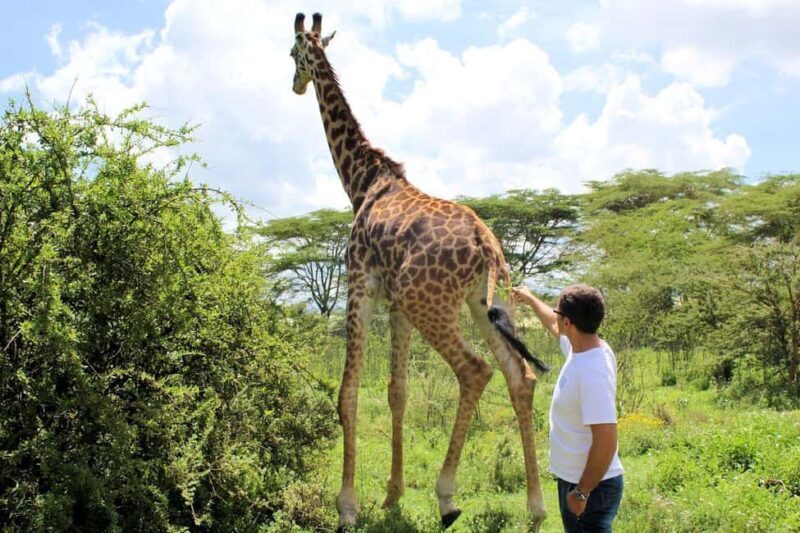 Nairobi: Hell's Gate National Park and Lake Naivasha Tour - What’s Included and What to Consider