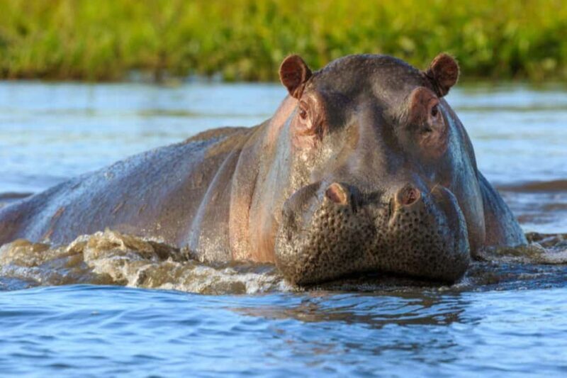 Nairobi: Hell's Gate National Park and Lake Naivasha Tour - Practical Tips for Travelers
