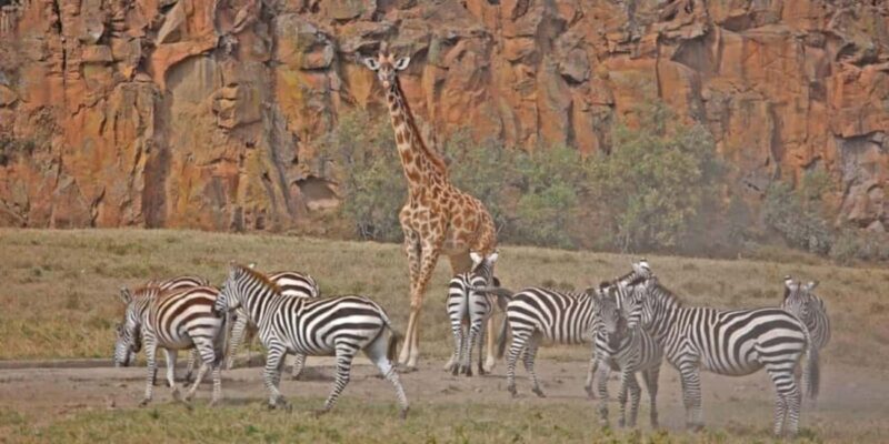 Nairobi: Hell's Gate National Park & Lake Naivasha Boat Ride - The Sum Up