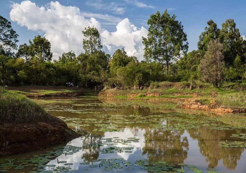 Nairobi: Hidden Waterfalls Hike & Forest Picnic in Karura - Key Points