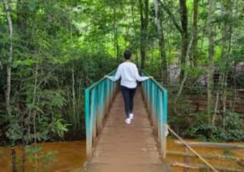 Nairobi: Hidden Waterfalls Hike & Forest Picnic in Karura - Exploring the Karura Forest Hike