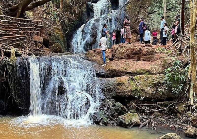 Nairobi: Hidden Waterfalls Hike & Forest Picnic in Karura - Additional Activities: Bike Riding?