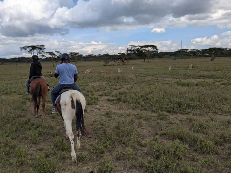 Nairobi: Horseback Wildlife Safari with Transfers and Lunch - The Location and Its Charm