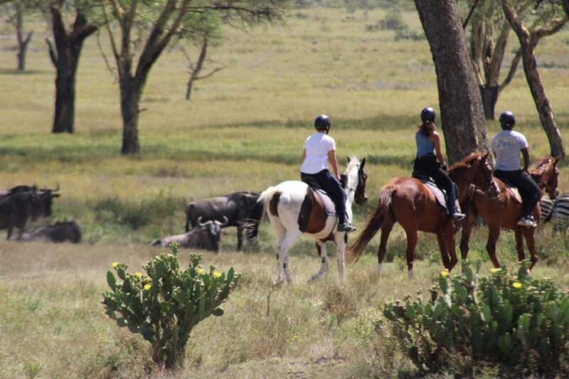 Nairobi: Horseback Wildlife Safari with Transfers and Lunch - Authentic Insights from Visitors