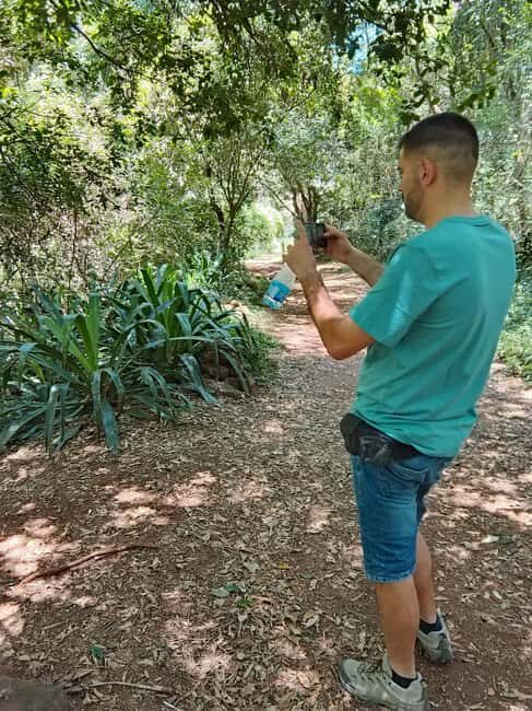 Nairobi: Karura Forest Guided Walking Tour - An In-Depth Look at the Karura Forest Guided Walking Tour