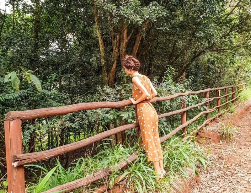 Nairobi: Karura Forest Nature Trail and Hike - Key Points