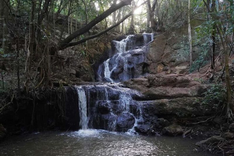 Nairobi: Karura Forest Nature Trail and Hike - Exploring Nairobi’s Green Gem: Karura Forest