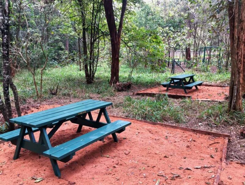 Nairobi: Karura Forest Nature Trail and Hike - Practical Tips for Your Visit