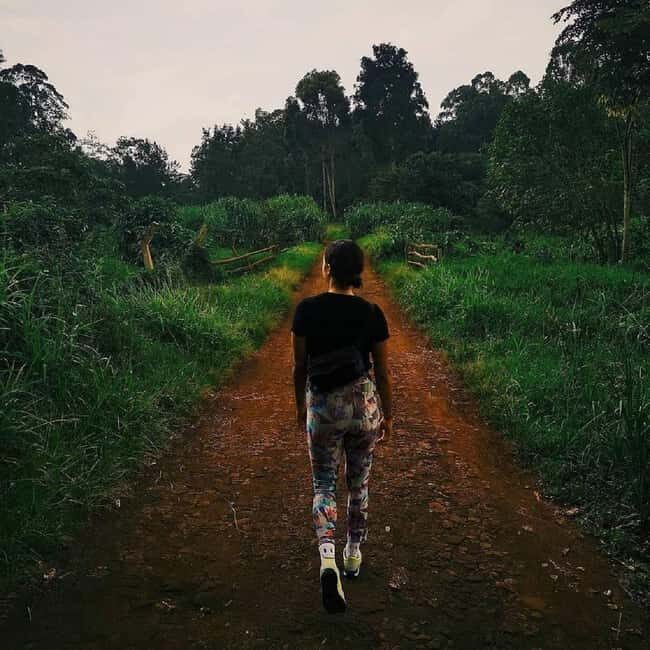 Nairobi: Karura Forest Nature Trail and Hike - Who Will Love This Experience?