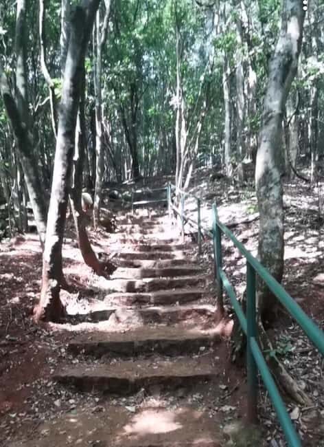 Nairobi: Karura Forest Nature Trail and Hike - The Sum Up