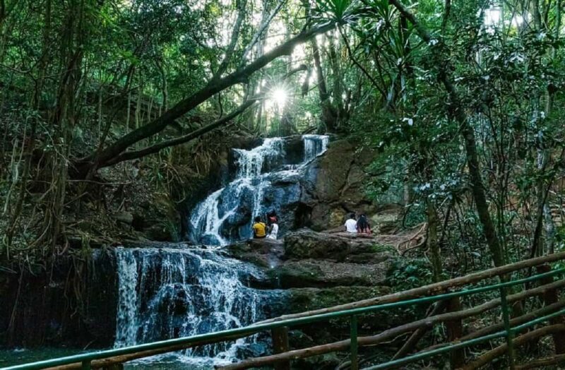 Nairobi: Karura Forest Nature Trail and Hike - FAQ