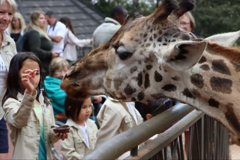Nairobi: Kazuri Beads Factory Giraffe Center Karen Blixen - Key Points