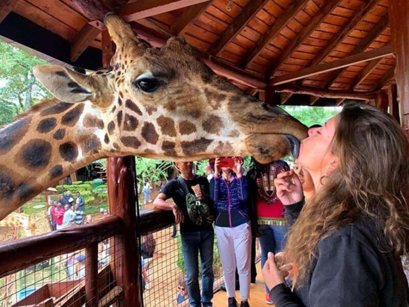 Nairobi: Kazuri Beads Factory Giraffe Center Karen Blixen - Who is This Tour Best For?