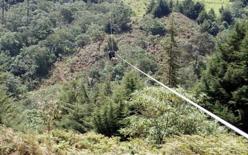 Nairobi: Kereita Forest Day Trip with Zip Lining - Key Points