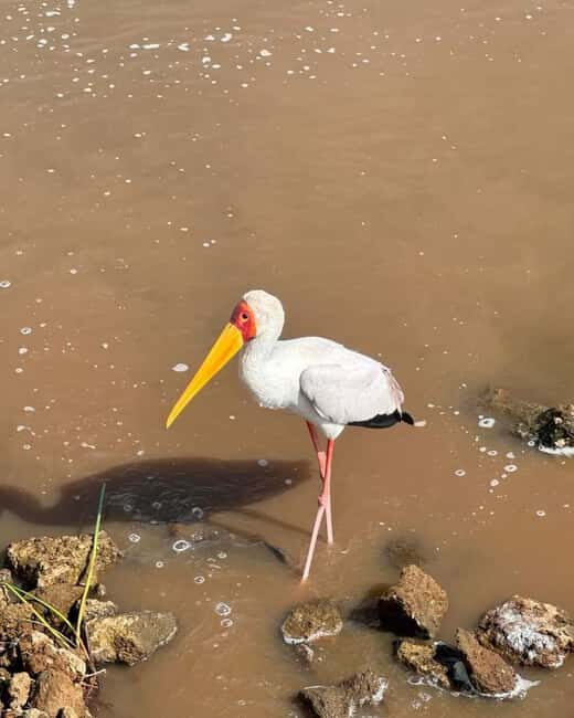 Nairobi: Lake Naivasha & Hell's Gate National Park Day Trip - Who Will Love This Tour?
