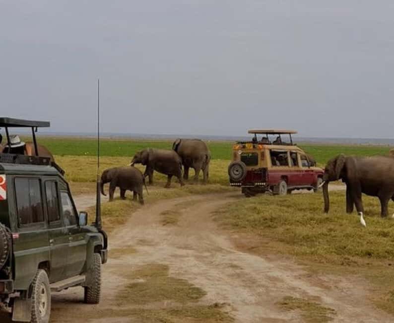 Nairobi: Lake Nakuru National Park - Introduction to Lake Nakuru National Park