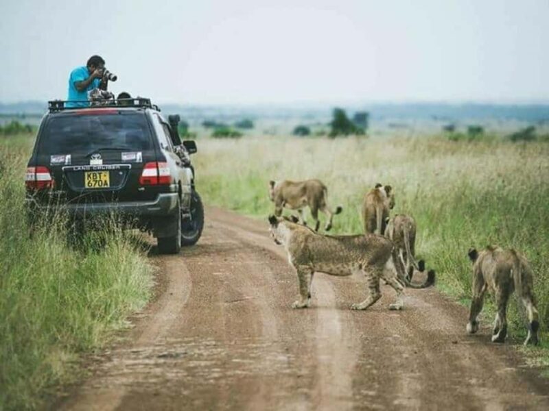 Nairobi: Lake Nakuru National Park - The Value of the Tour
