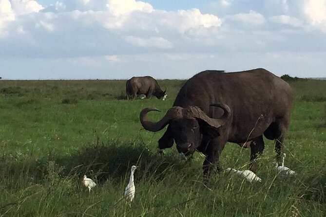 Nairobi layover - Frequently Asked Questions