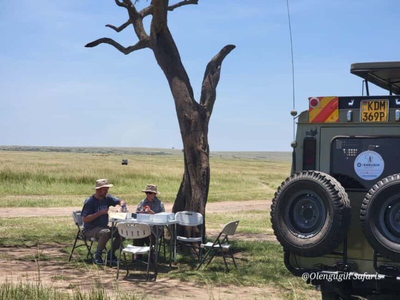 Nairobi: Maasai Mara Overnight Safari with Cultural Visit - Who Would Enjoy This Tour?