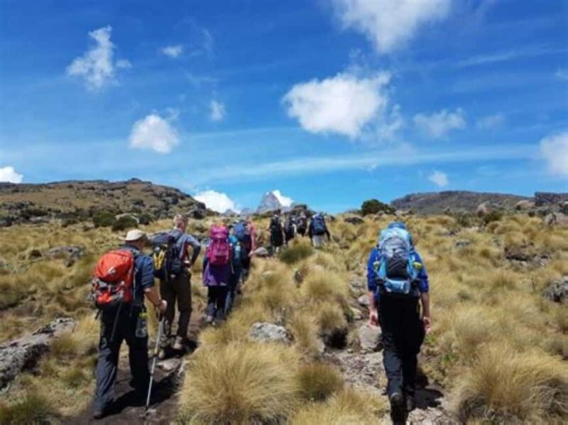 Nairobi: Mount Kenya Day Hike with Lunch - Key Points