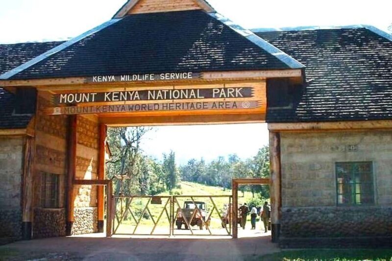 Nairobi: Mount Kenya Day Hike with Lunch - What the Price Gets You: Value and Considerations