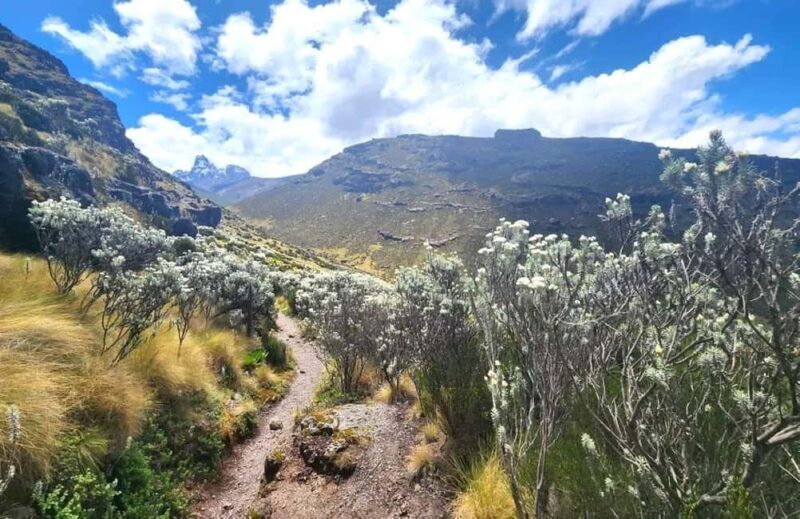 Nairobi: Mount Kenya Day Hike with Lunch - FAQs