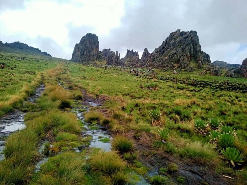 Nairobi: Mount Longonot Full-Day Guided Hiking Adventure - Final Thoughts