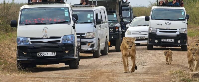 Nairobi: Nairobi National Park Daily Game Drives - The Experience: What to Expect on the Nairobi National Park Game Drive