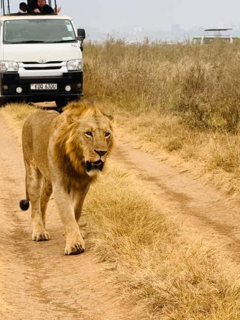 Nairobi: Nairobi National Park Daily Game Drives - The Authentic Touch: What Travelers Say
