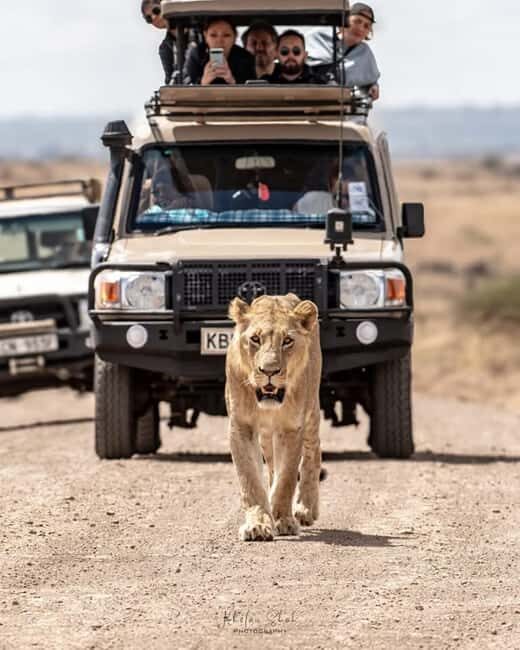 Nairobi: Nairobi National Park Half-Day Game Drive - Key Points