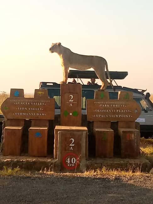 Nairobi: Nairobi National Park Half-Day Guided Game Drive - The Guide Experience