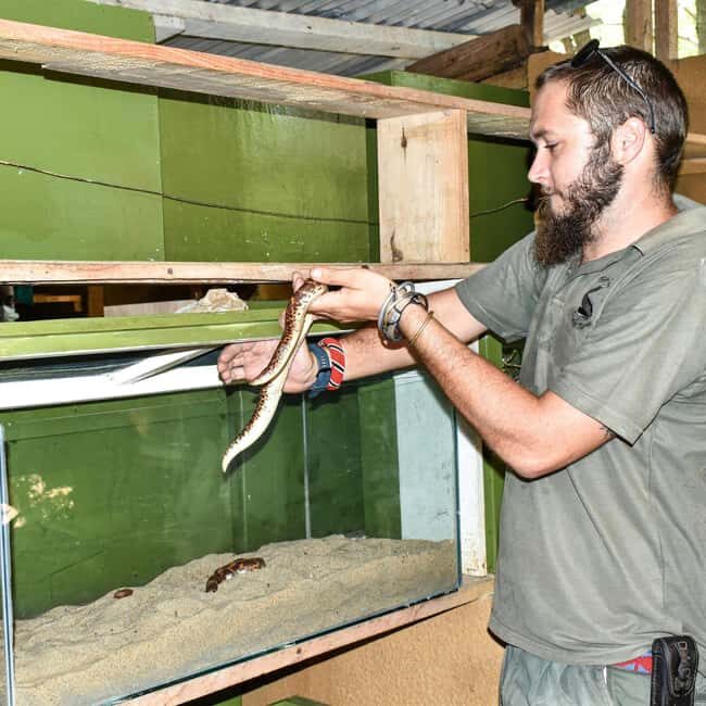Nairobi National Museum and Snake Park Guided Day Tour - FAQ
