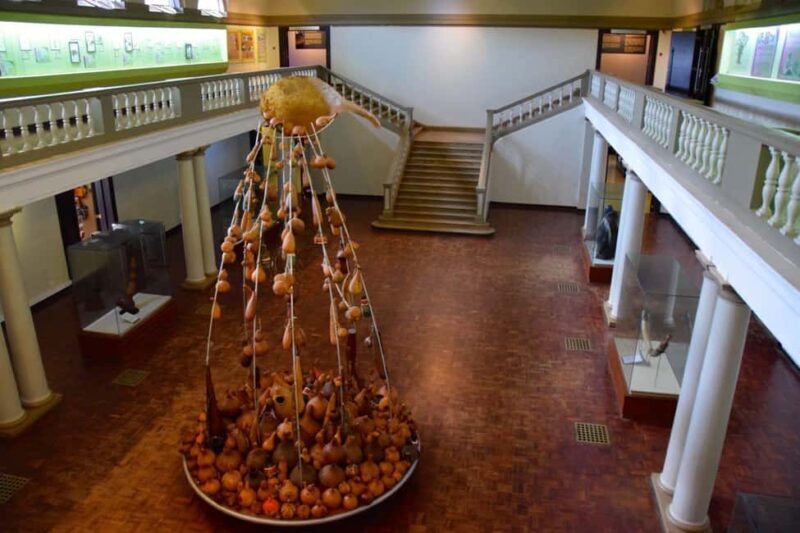 Nairobi National Museum and Snake Park Guided Day Tour - Key Points