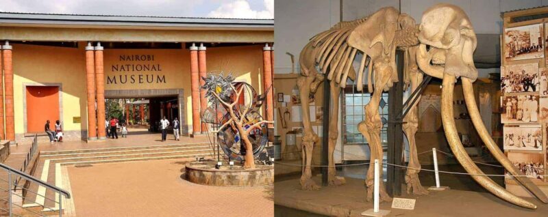 Nairobi National Museum and Snake Park Guided Day Tour - Value and Practical Considerations