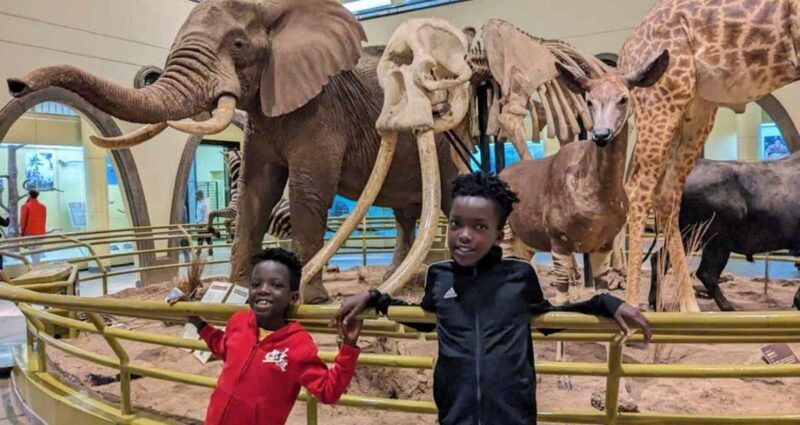 Nairobi: National Museum Giraffe Center and Bomas of Kenya - Key Points