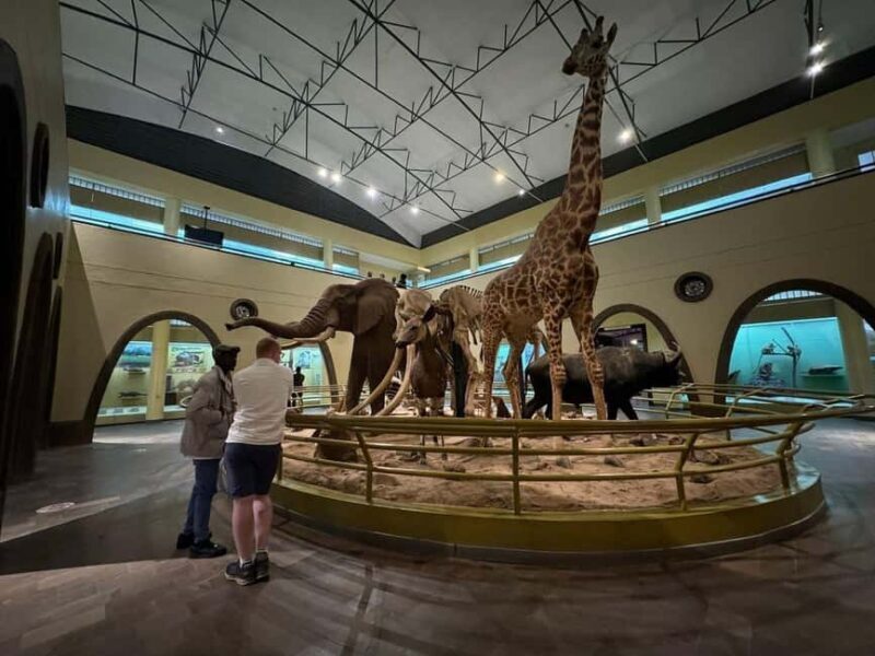 Nairobi: National Museum Giraffe Center and Bomas of Kenya - What to Expect from This Tour