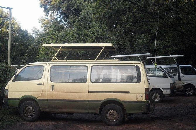 Nairobi National Park 1.p.m Game Drive - A Closer Look at the Experience
